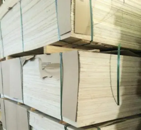Фанера ФСФ 1500х3000 24 мм
